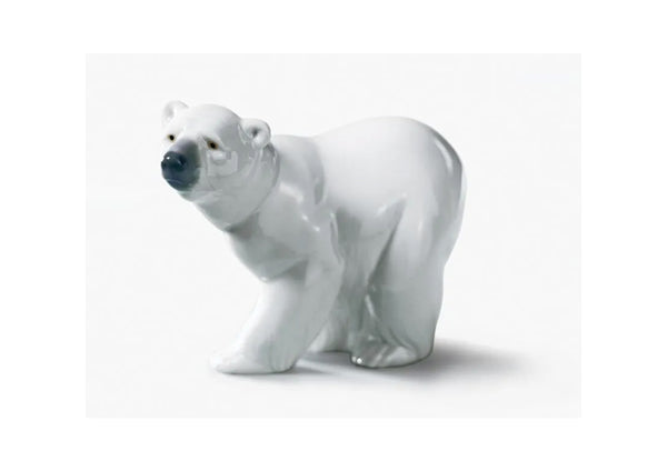 Attentive Polar Bear