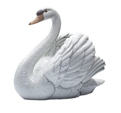 SWAN WITH WINGS SPREAD Gloss