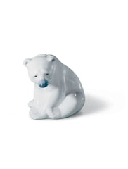 Seated Polar Bear
