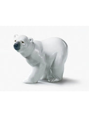 Attentive Polar Bear