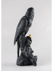 MACAW BIRD (BLACK-GOLD)