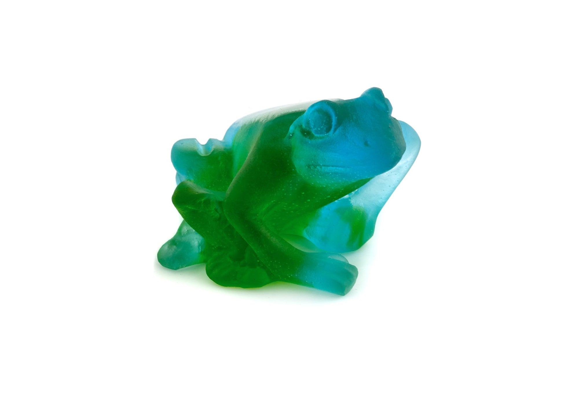 Turquoise frog